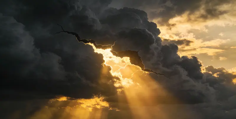 杭州肺癌11基因检测组织版图片1