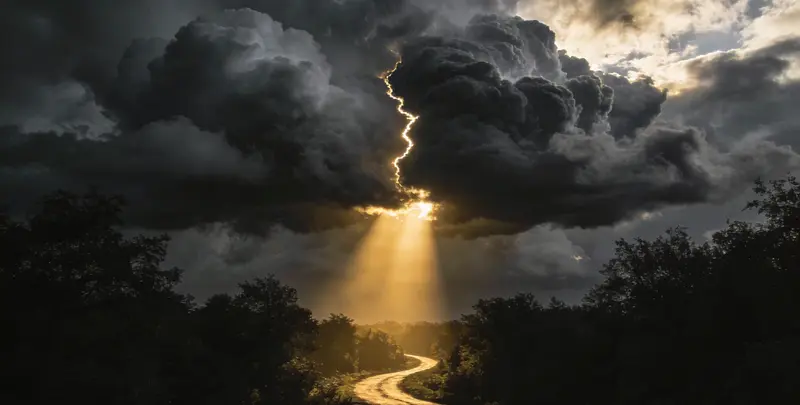 肺癌11基因检测组织版图3