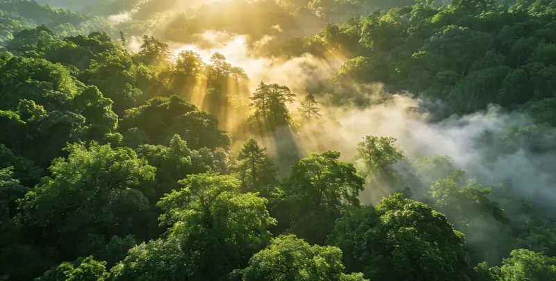 杭州肺癌8基因突变检测（组织）图片1