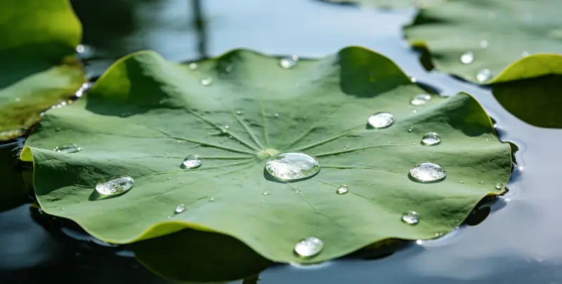 杭州乳腺癌21基因mRNA表达分析图片1