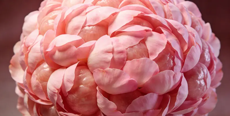 杭州BRCA1/2乳腺癌卵巢癌基因检测图片1